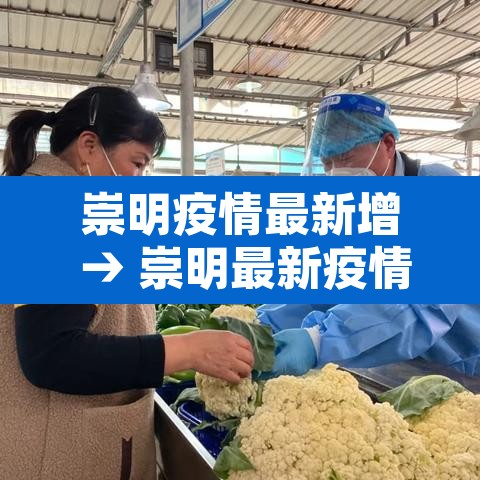 崇明疫情最新增 → 崇明最新疫情通报 崇明疫情最新增 → 崇明最新疫情通报
