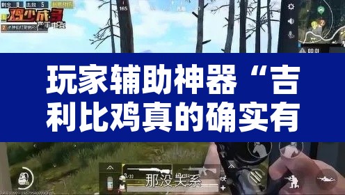 玩家辅助神器“吉利比鸡真的确实有挂	”附辅助神器开挂脚本详细步骤