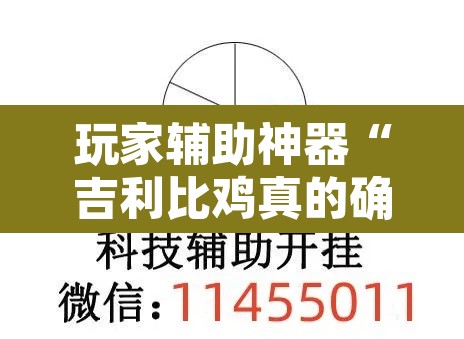 玩家辅助神器“吉利比鸡真的确实有挂”附辅助神器开挂脚本详细步骤