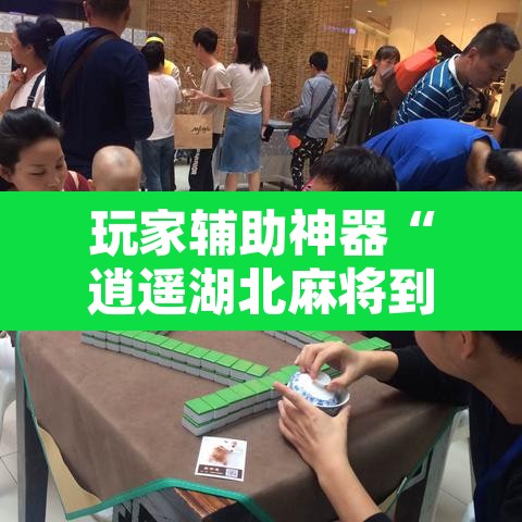 玩家辅助神器“逍遥湖北麻将到底有没有挂”其实确实有挂