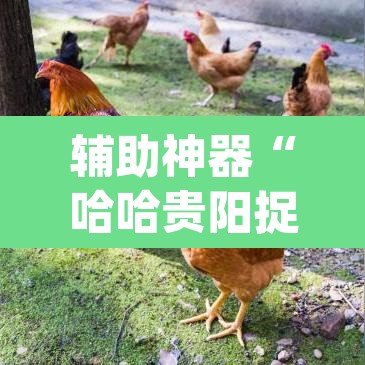 辅助神器“哈哈贵阳捉鸡麻将开挂怎么开”(透视)其实确实有挂