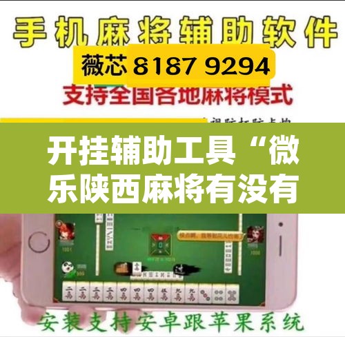开挂辅助工具“微乐陕西麻将有没有挂”(透视)其实确实有挂