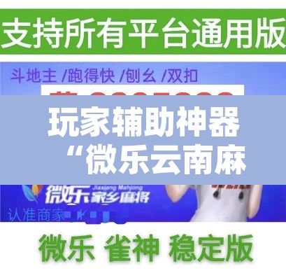 玩家辅助神器“微乐云南麻将怎样免费开挂	”其实确实有挂