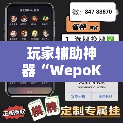 玩家辅助神器“WepoKer确定可以透视的”附辅助神器开挂脚本详细步骤