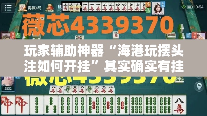 玩家辅助神器“海港玩摆头注如何开挂”其实确实有挂