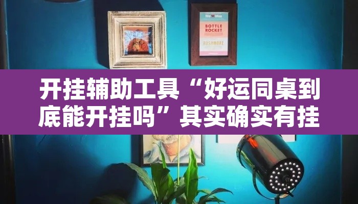开挂辅助工具“好运同桌到底能开挂吗	”其实确实有挂