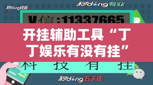 开挂辅助工具“丁丁娱乐有没有挂	”(透视挂)辅助透视教程
