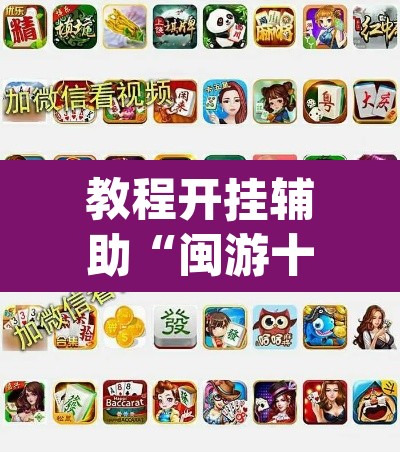 教程开挂辅助“闽游十三水开挂辅助器是什么弄的”(透视挂)辅助透视教程