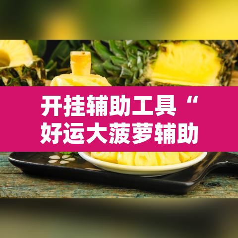 开挂辅助工具“好运大菠萝辅助软件”(透视挂)辅助透视教程