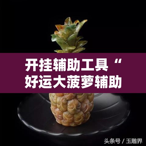 开挂辅助工具“好运大菠萝辅助软件	”(透视挂)辅助透视教程