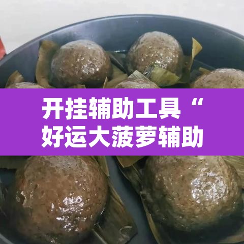 开挂辅助工具“好运大菠萝辅助软件”(透视挂)辅助透视教程