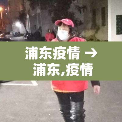 浦东疫情 → 浦东,疫情 浦东疫情 → 浦东,疫情