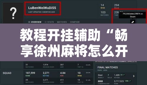 教程开挂辅助“畅享徐州麻将怎么开挂教程”开挂辅助脚本+详细开挂安装教程