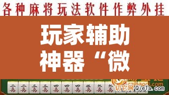 玩家辅助神器“微乐江苏麻将有挂能查出来吗	”其实确实有挂