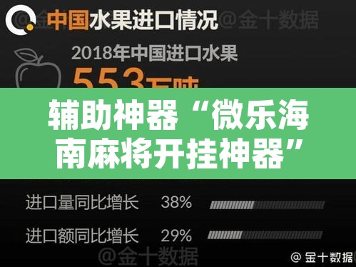 辅助神器“微乐海南麻将开挂神器”开挂辅助脚本+详细开挂安装教程