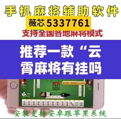 推荐一款“云霄麻将有挂吗可以开挂吗”(透视)其实确实有挂