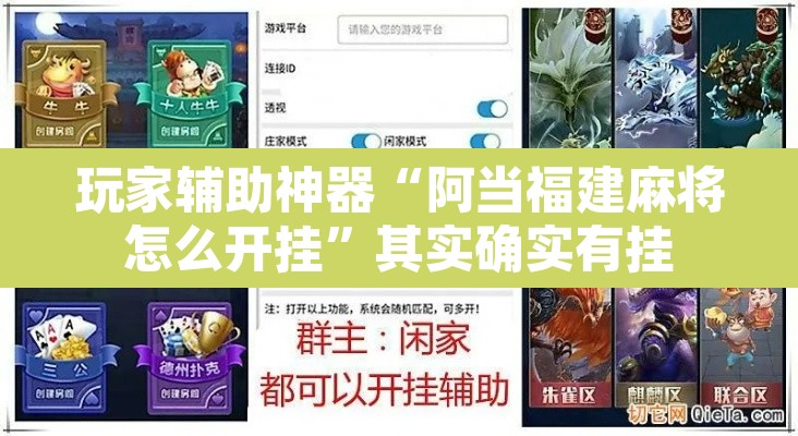 玩家辅助神器“阿当福建麻将怎么开挂”其实确实有挂