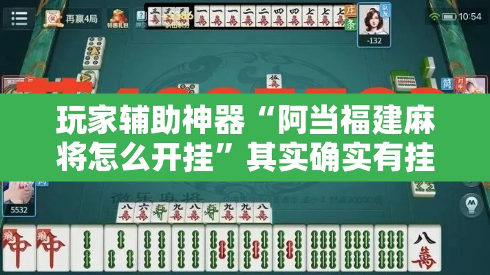 玩家辅助神器“阿当福建麻将怎么开挂”其实确实有挂