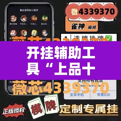 开挂辅助工具“上品十三水怎么开挂”开挂辅助脚本+详细开挂安装教程