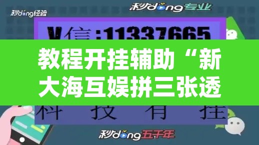 教程开挂辅助“新大海互娱拼三张透”(透视挂)辅助透视教程