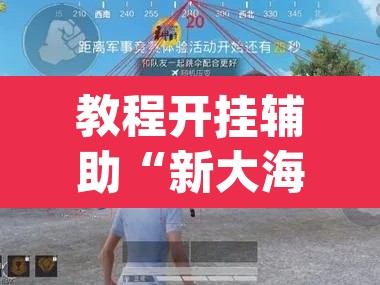 教程开挂辅助“新大海互娱拼三张透	”(透视挂)辅助透视教程