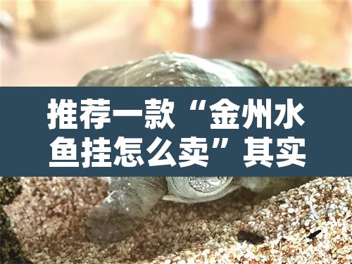 推荐一款“金州水鱼挂怎么卖	”其实确实有挂