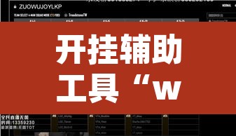 开挂辅助工具“wepoker透视挂机教程”(透视挂)辅助透视教程