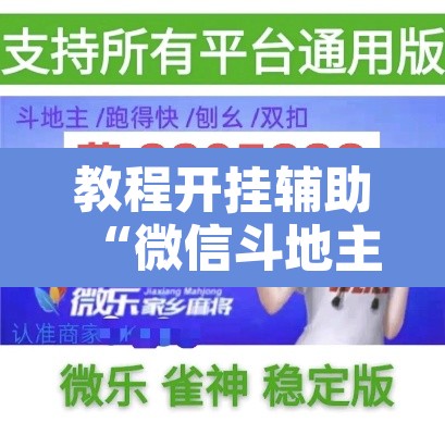 教程开挂辅助“微信斗地主万能透视软件”其实确实有挂