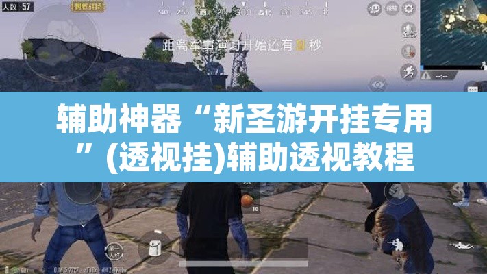 辅助神器“新圣游开挂专用”(透视挂)辅助透视教程