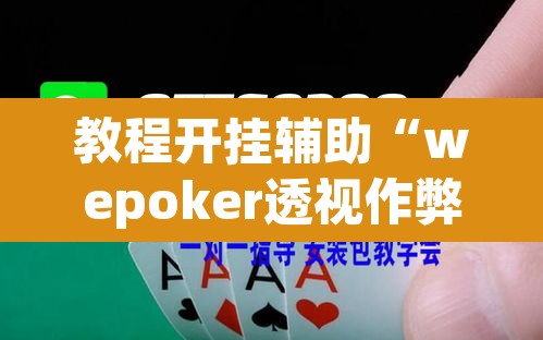 教程开挂辅助“wepoker透视作弊	”(透视挂)辅助透视教程