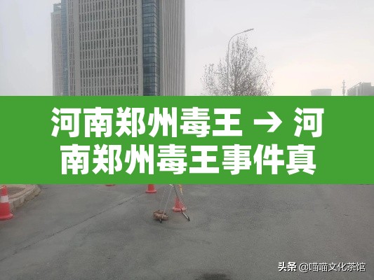 河南郑州毒王 → 河南郑州毒王事件真相