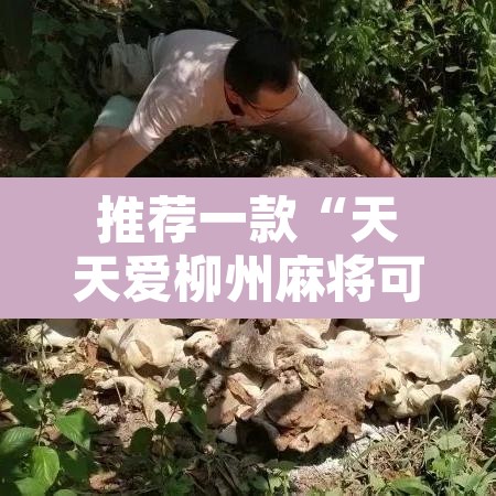 推荐一款“天天爱柳州麻将可以开挂吗”其实确实有挂