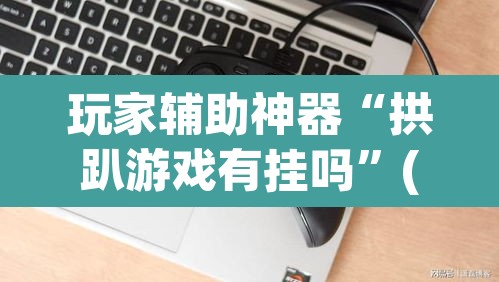 玩家辅助神器“拱趴游戏有挂吗”(透视挂)辅助透视教程
