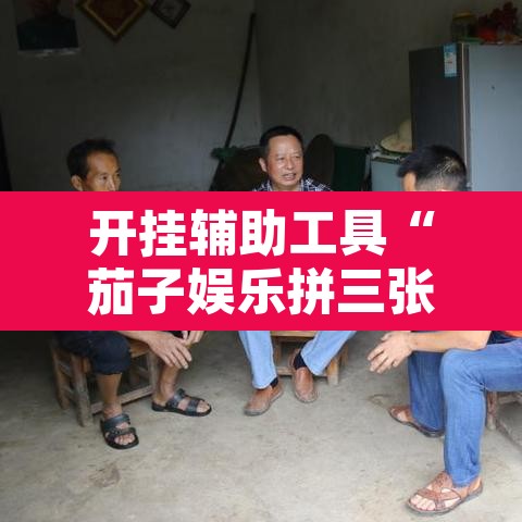 开挂辅助工具“茄子娱乐拼三张辅助	”开挂辅助脚本+详细开挂安装教程