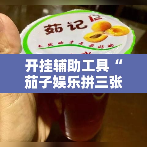 开挂辅助工具“茄子娱乐拼三张辅助”开挂辅助脚本+详细开挂安装教程