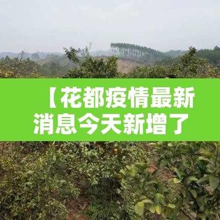 【花都疫情最新消息今天新增了15例·花都新型冠状病毒最新消息】 【花都疫情最新消息今天新增了15例·花都新型冠状病毒最新消息】