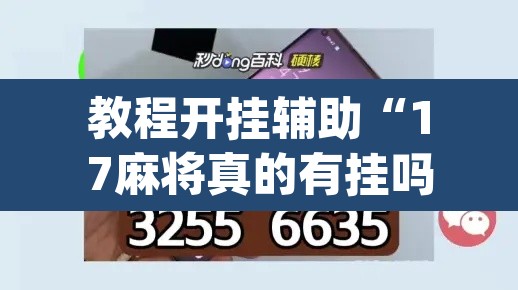 教程开挂辅助“17麻将真的有挂吗”(透视)其实确实有挂