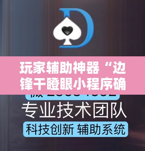 玩家辅助神器“边锋干瞪眼小程序确实真的有挂”(透视)其实确实有挂