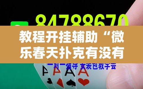 教程开挂辅助“微乐春天扑克有没有挂”(透视挂)辅助透视教程