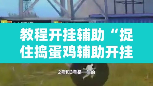 教程开挂辅助“捉住捣蛋鸡辅助开挂”(透视挂)辅助透视教程