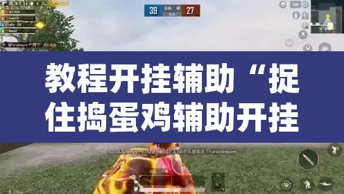 教程开挂辅助“捉住捣蛋鸡辅助开挂”(透视挂)辅助透视教程