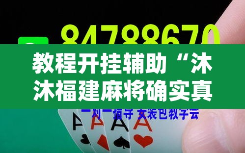 教程开挂辅助“沐沐福建麻将确实真的有挂	”(透视挂)辅助透视教程