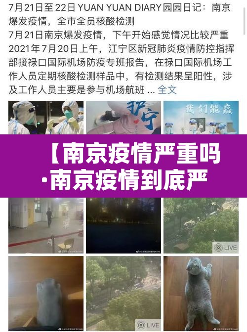【南京疫情严重吗·南京疫情到底严不严重】 【南京疫情严重吗·南京疫情到底严不严重】