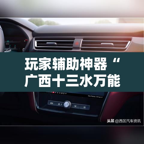 玩家辅助神器“广西十三水万能辅助器	”(透视)其实确实有挂