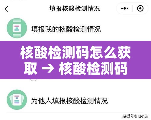 核酸检测码怎么获取 → 核酸检测码怎么获取二维码 核酸检测码怎么获取 → 核酸检测码怎么获取二维码