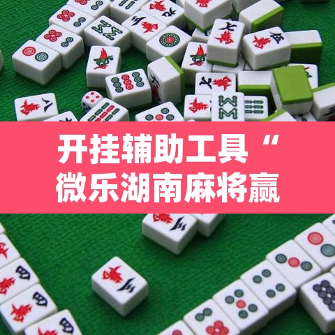 开挂辅助工具“微乐湖南麻将赢牌规律是啥	”(透视)其实确实有挂