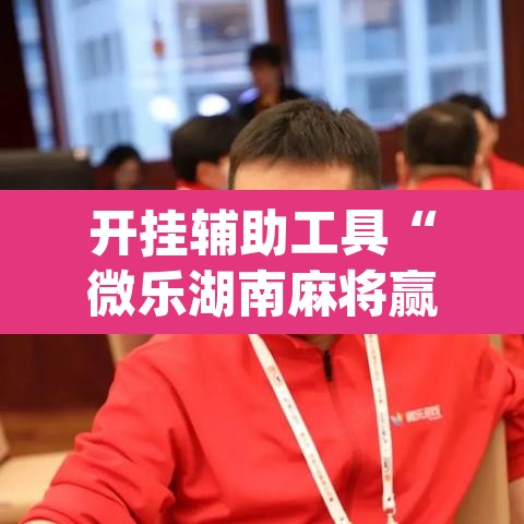 开挂辅助工具“微乐湖南麻将赢牌规律是啥	”(透视)其实确实有挂