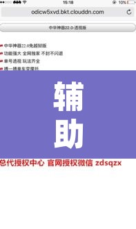 辅助神器“微乐跑得快透视软件”其实确实有挂