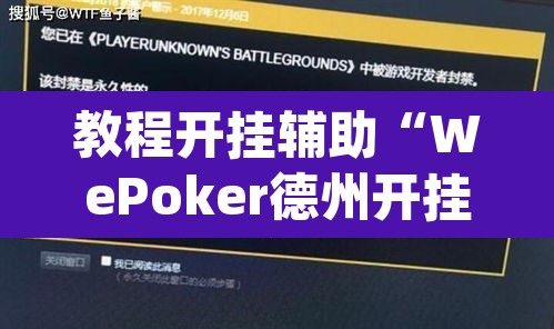 教程开挂辅助“WePoker德州开挂辅助作弊挂”(透视)其实确实有挂