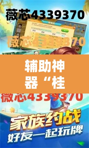 辅助神器“桂柳麻将的挂怎么安装”(透视挂)辅助透视教程